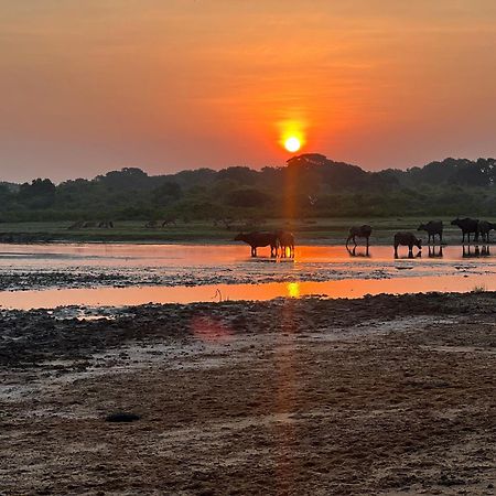 Kingfisher Beach Resort-Yala Kirinda  Ngoại thất bức ảnh